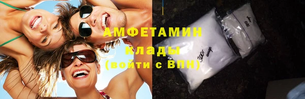 гидра Верхний Тагил