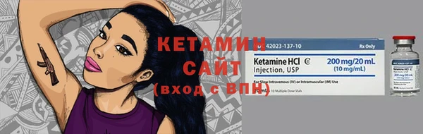 гидра Верхний Тагил
