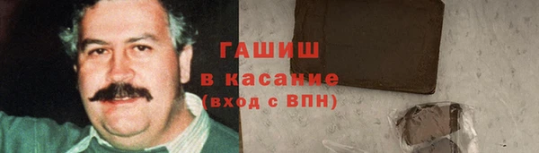 гидра Верхний Тагил