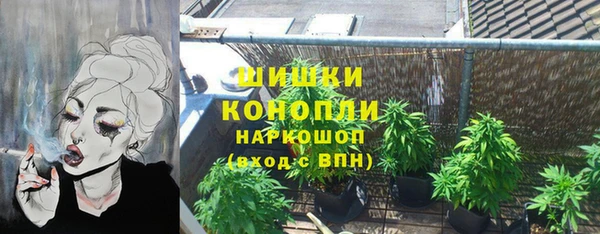 мдпв Верея
