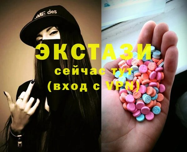 мдпв Верея