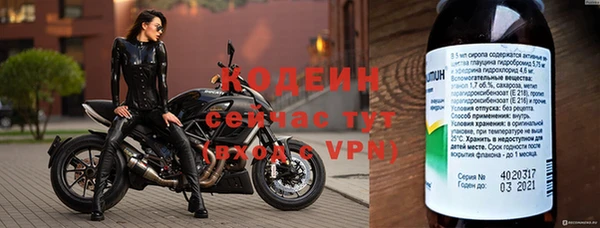мдпв Верея