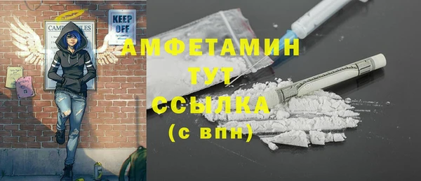 мдпв Верея