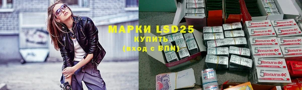 гидра Верхний Тагил